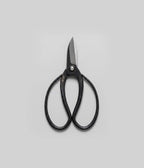 Niwaki Sentei Garden Scissors