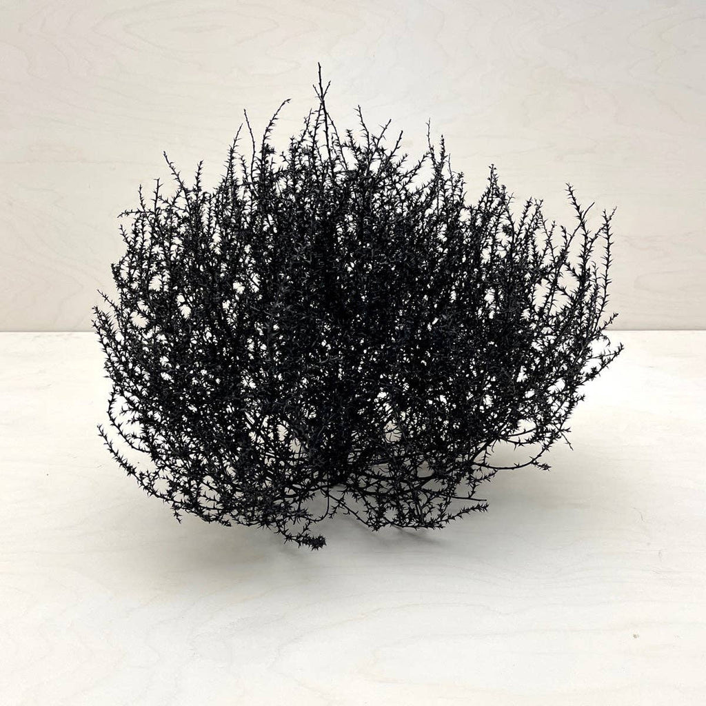 Tumbleweed