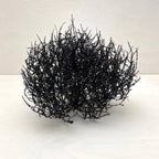 Tumbleweed