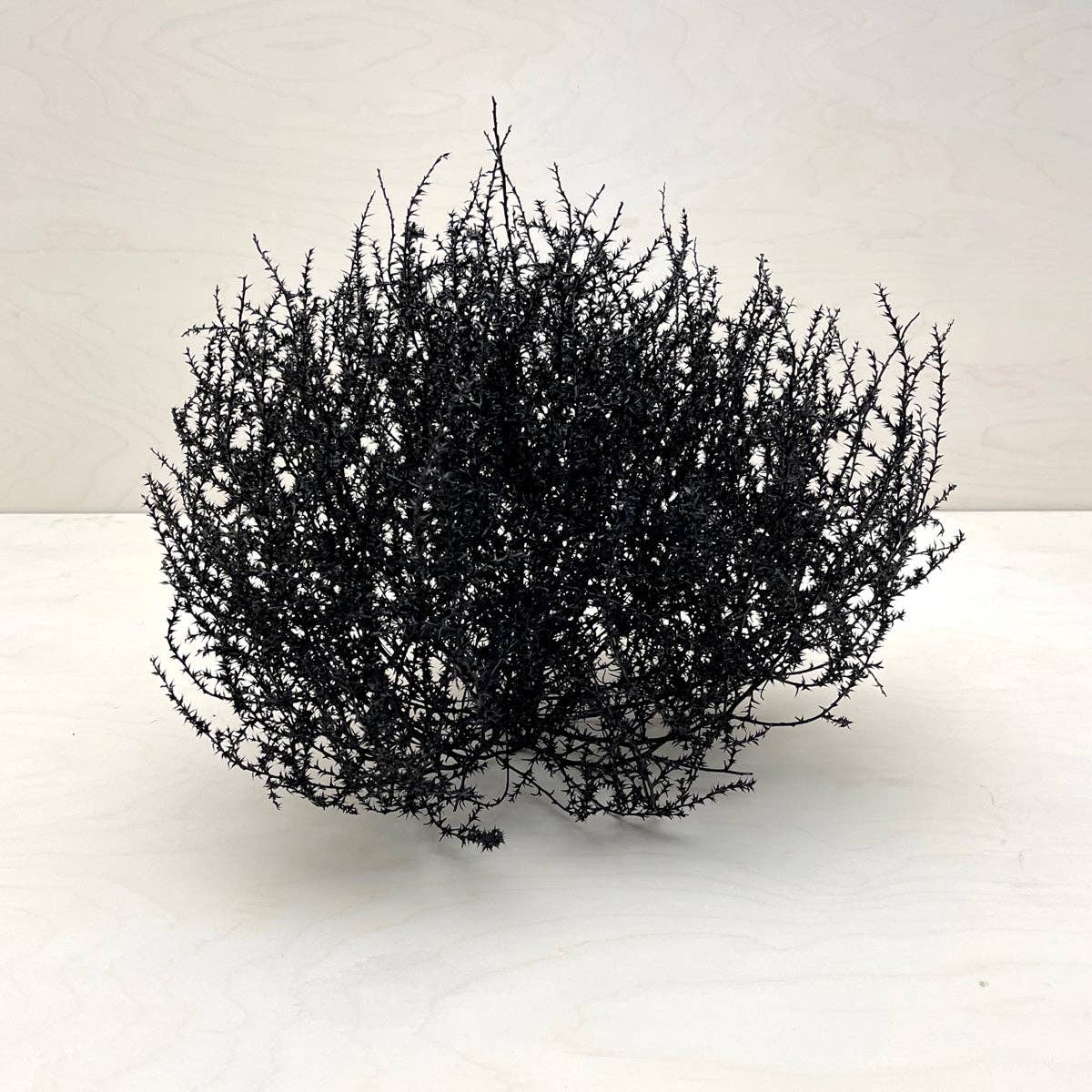 Tumbleweed