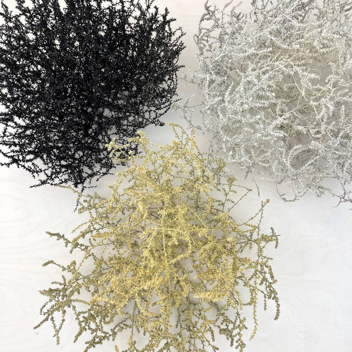 Tumbleweed