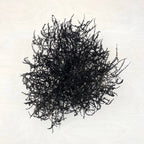 Tumbleweed