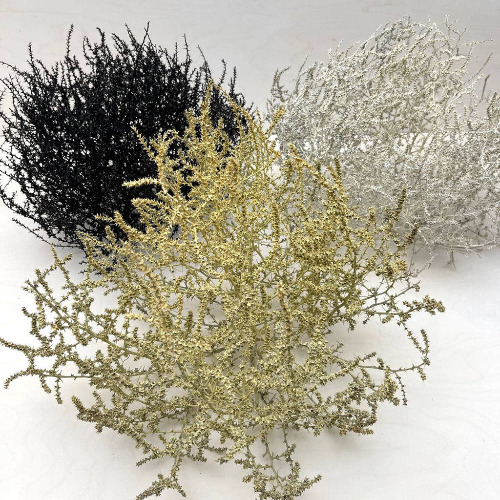 Tumbleweed
