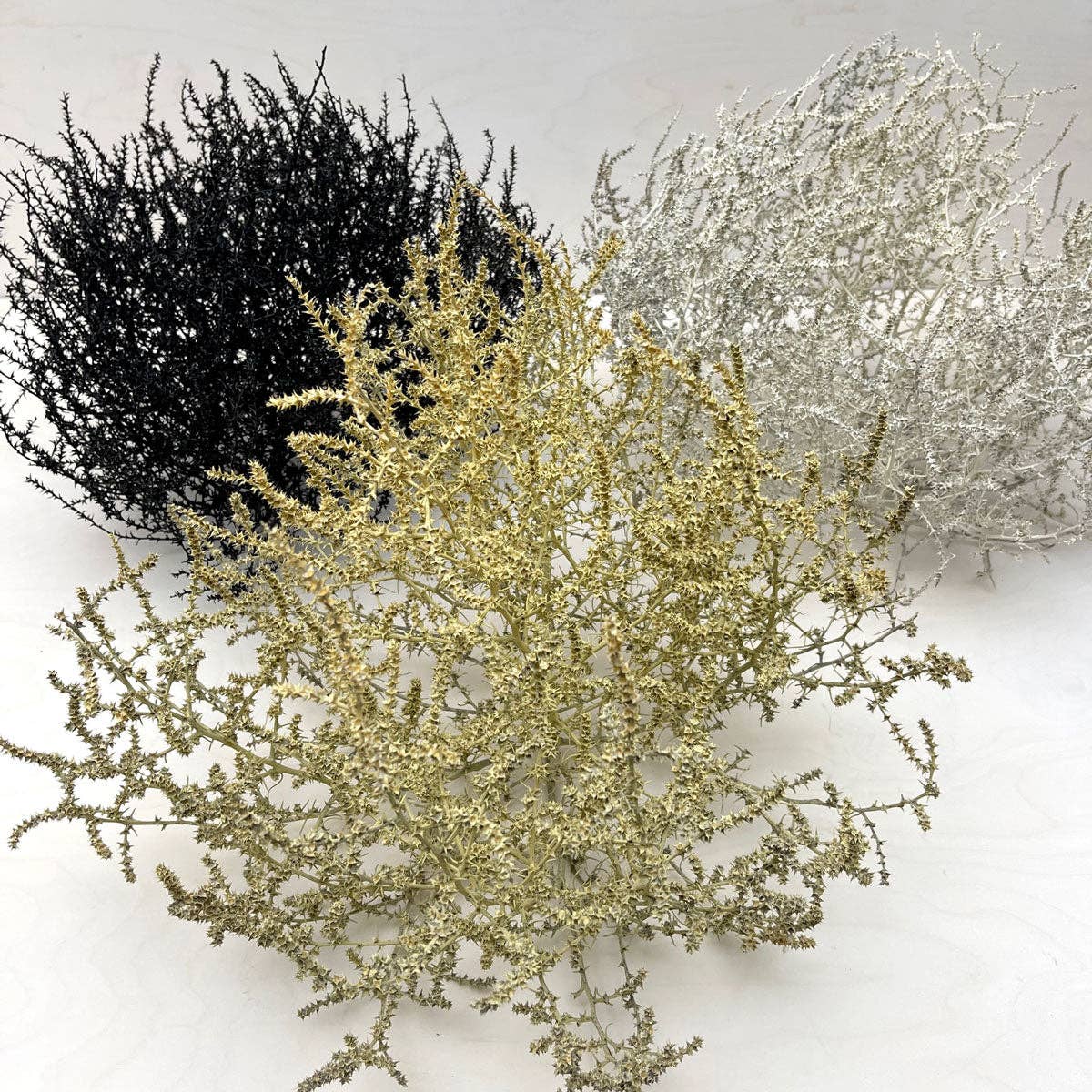 Tumbleweed