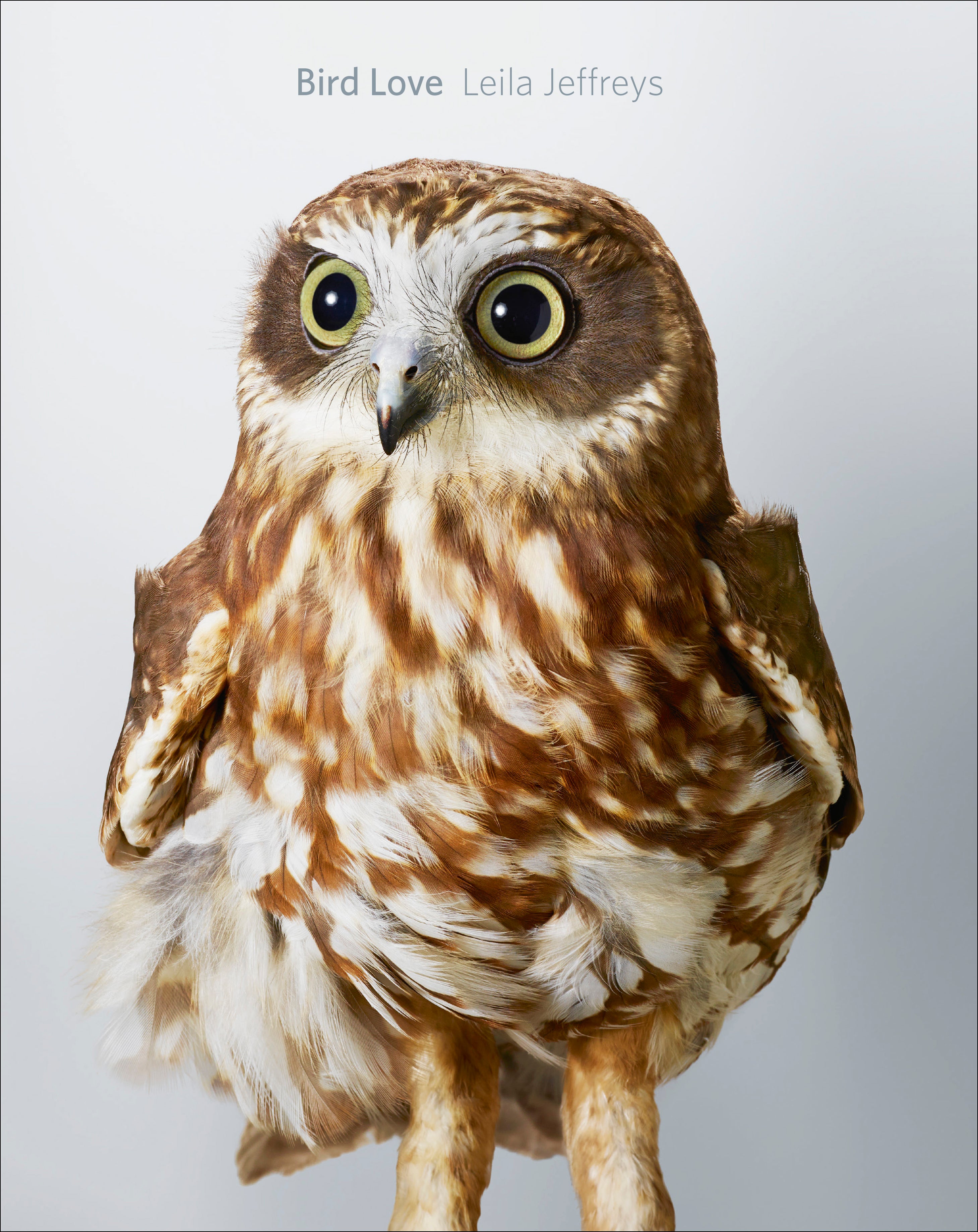 Bird Love: A Photography Book