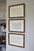 Schubert Theater Sketches