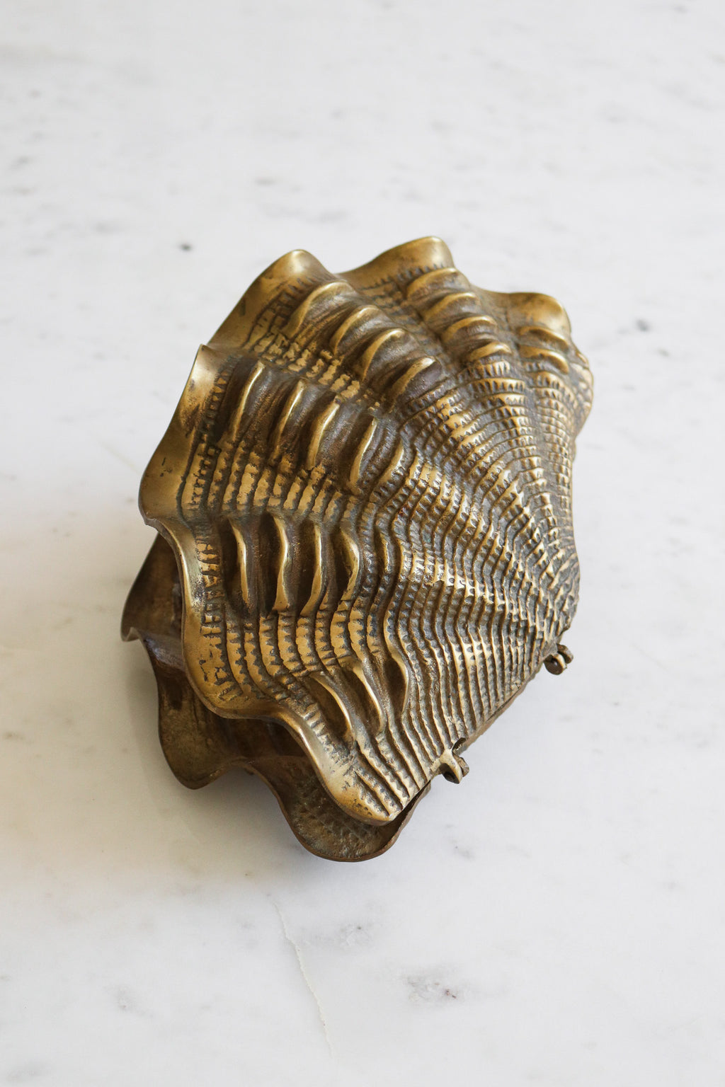 Vintage Brass Clam Shell