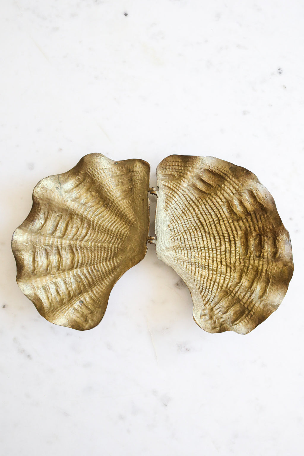 Vintage Brass Clam Shell