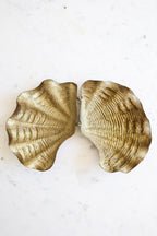 Vintage Brass Clam Shell