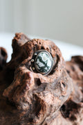 Tomi Petrella Sterling Silver and Tree Agate Ring