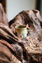 Silver + Gold Fusion Ring