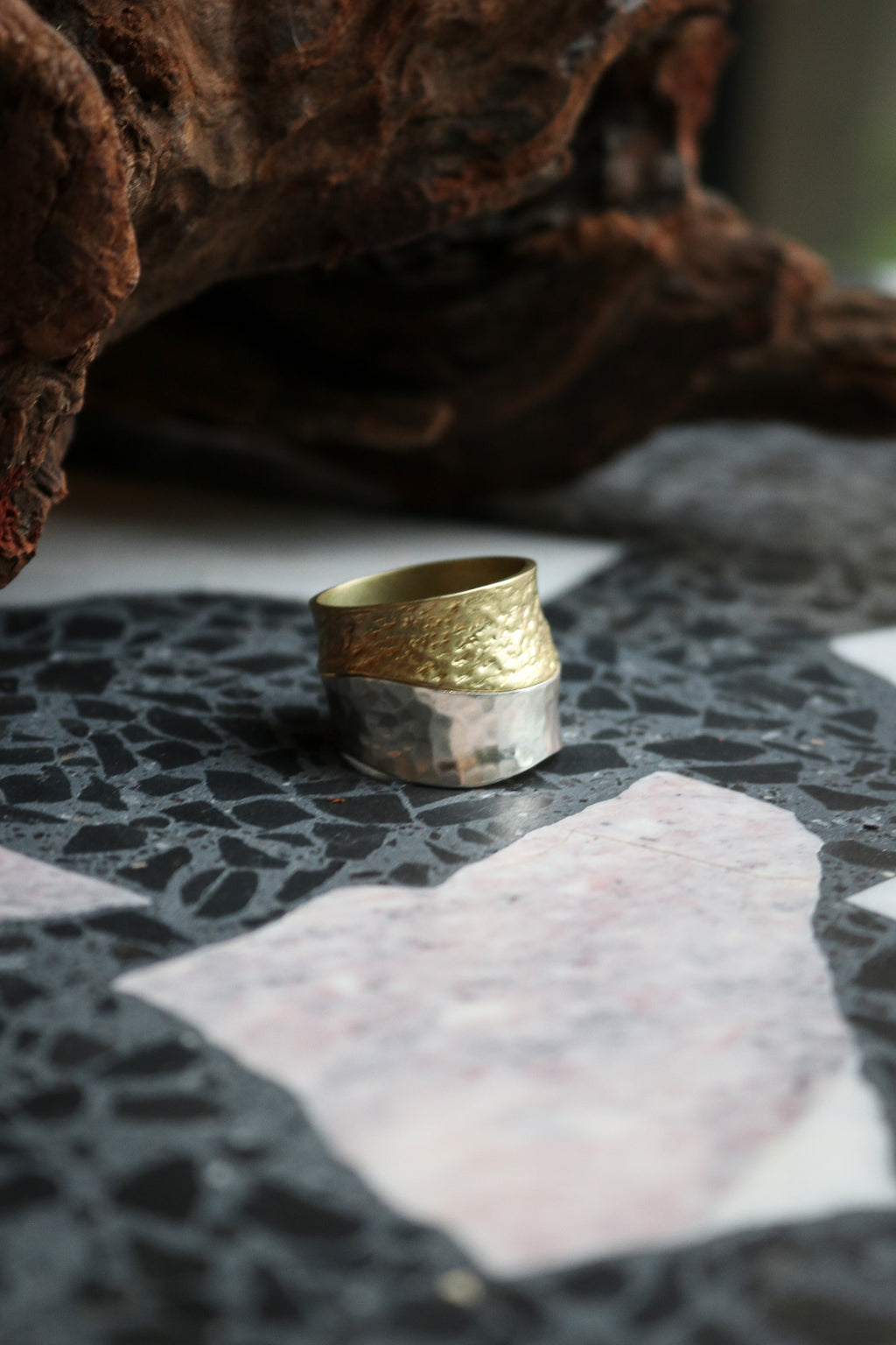 Silver + Gold Fusion Ring