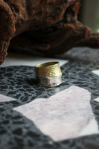 Silver + Gold Fusion Ring