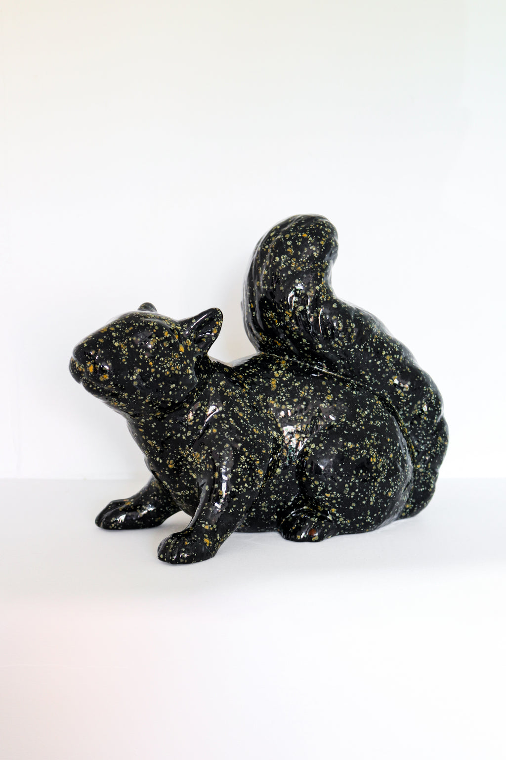 Black Speckled Squirrel - Pensive