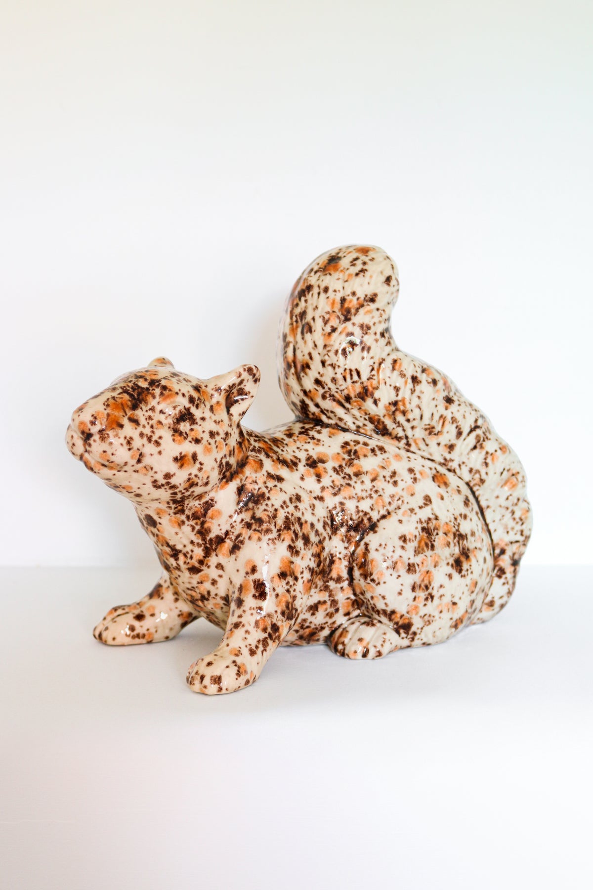 Brown Speckled Squirrel - Pensive