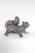 Grey Speckled Squirrel - Playful