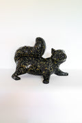 Black Speckled Squirrel - Playful