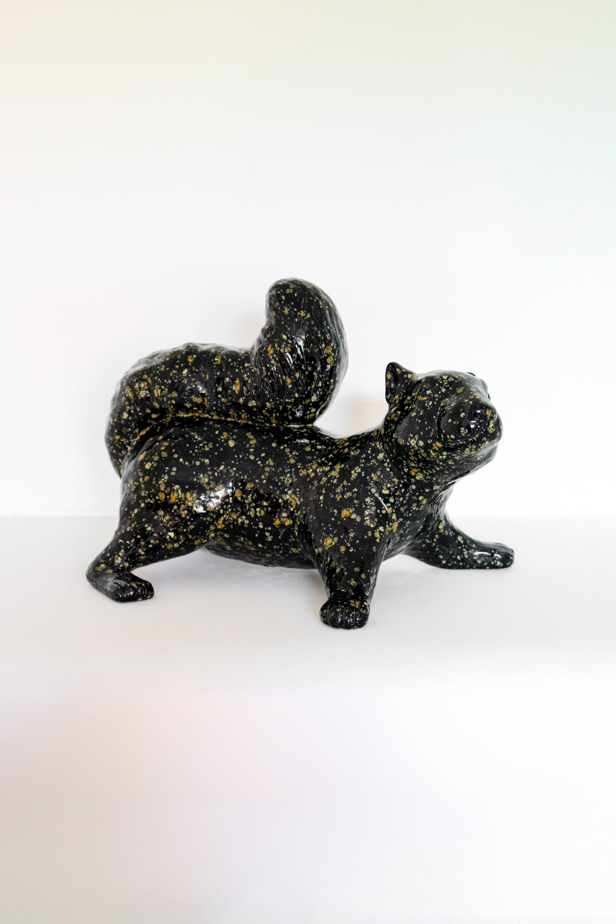 Black Speckled Squirrel - Playful