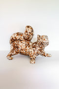 Brown Speckled Squirrel - Playful