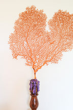 FORT MADE: Natural Curiosity, Sea Fan