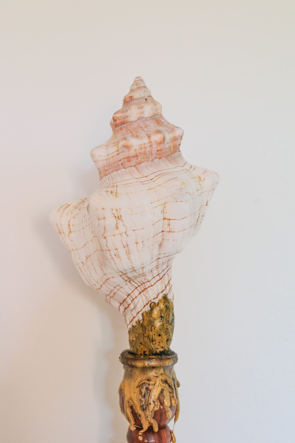 FORT MADE: Natural Curiosity, Conch