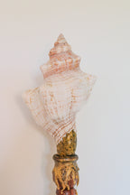 FORT MADE: Natural Curiosity, Conch