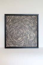 Framed Wasp Nest Artwork
