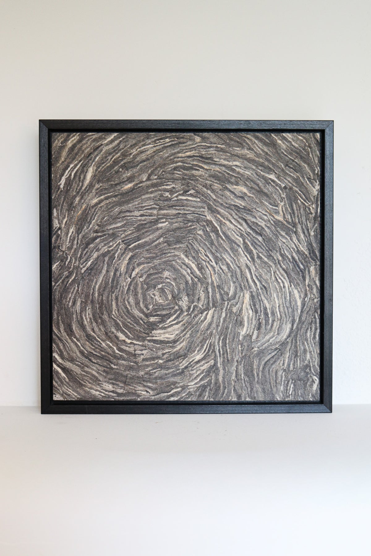 Framed Wasp Nest Artwork