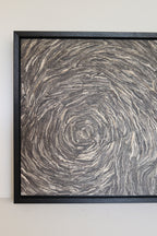 Framed Wasp Nest Artwork