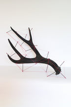 Antler Sculpture