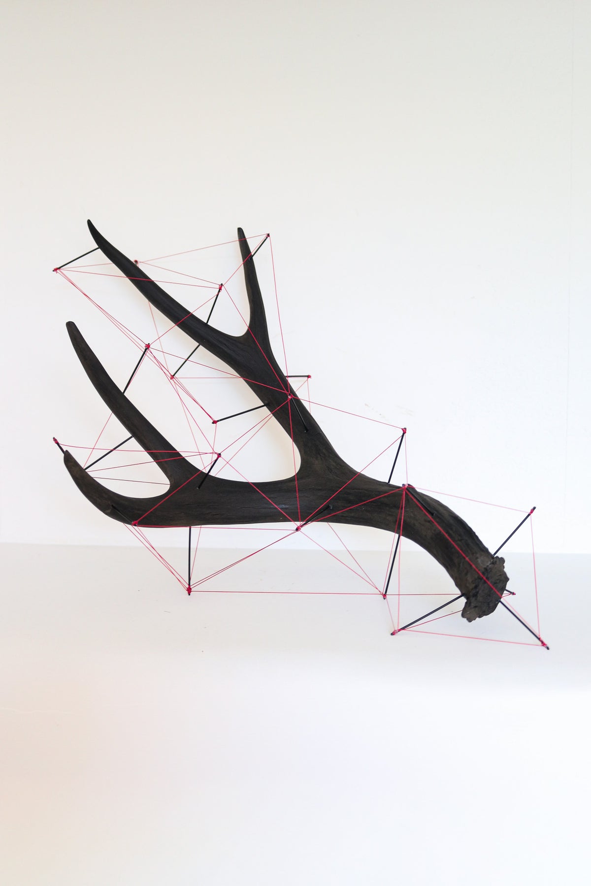 Antler Sculpture