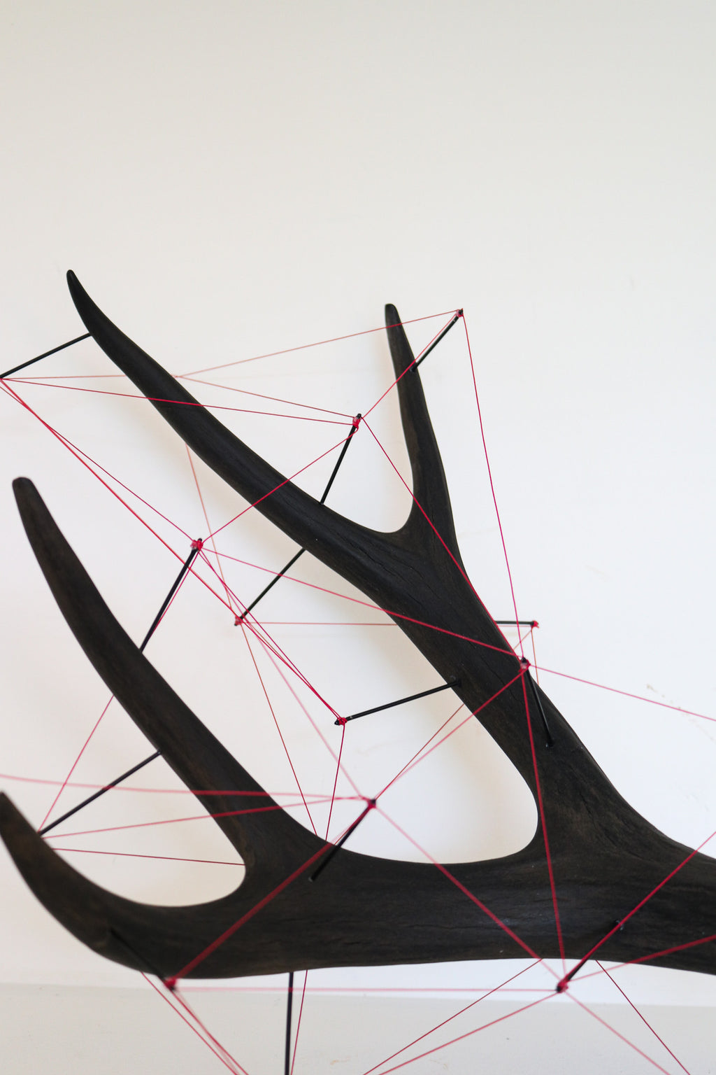 Antler Sculpture