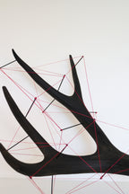 Antler Sculpture