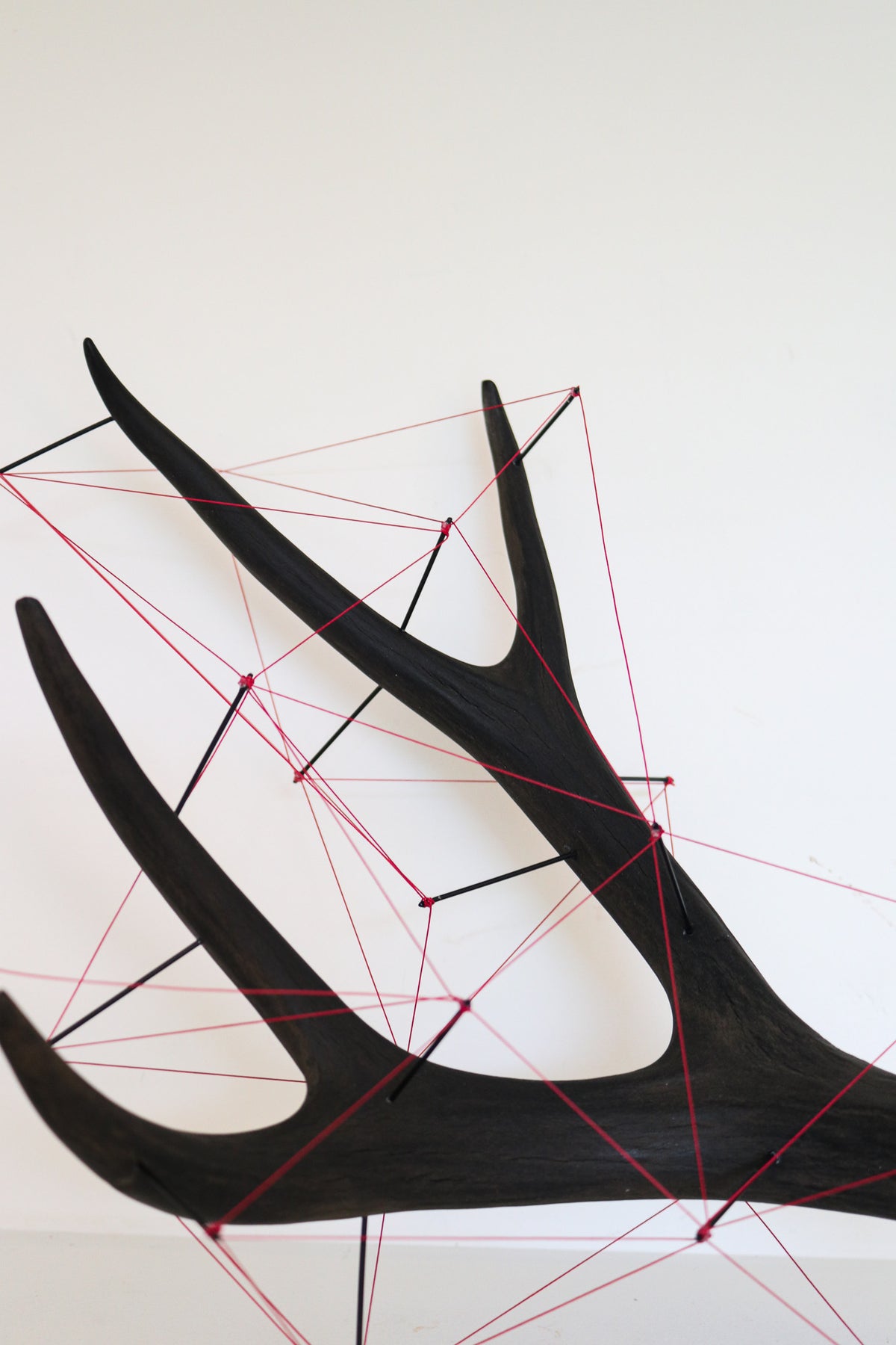 Antler Sculpture