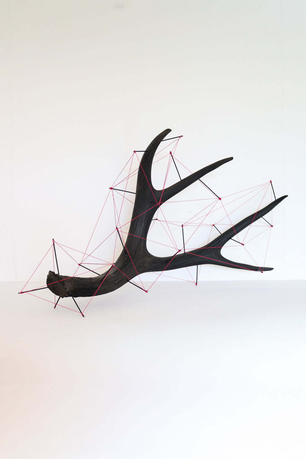 Antler Sculpture
