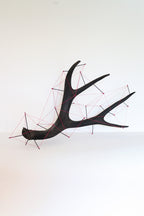 Antler Sculpture