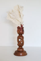 FORT MADE: Natural Curiosity, Vintage White Lettuce Coral