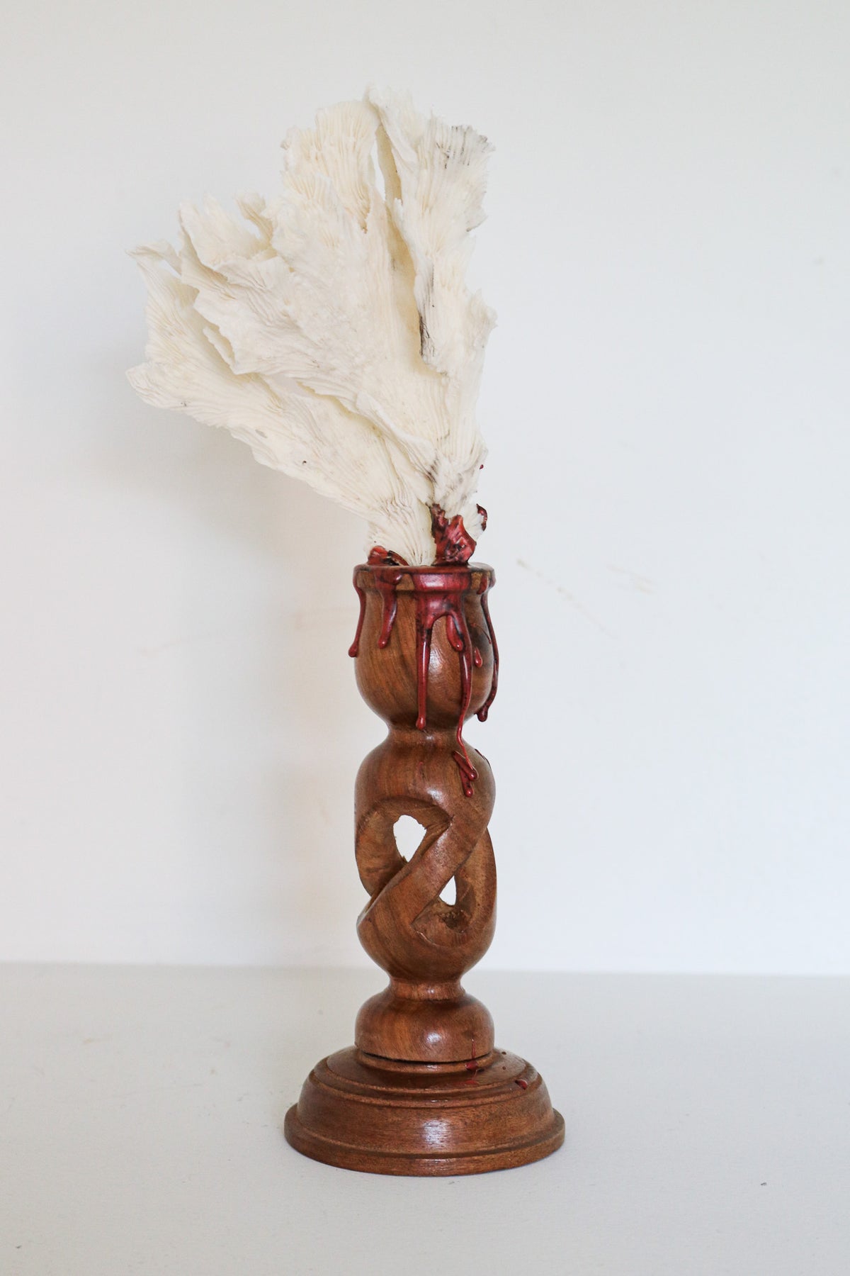 FORT MADE: Natural Curiosity, Vintage White Lettuce Coral