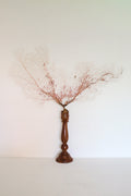 FORT MADE: Natural Curiosity, Coral