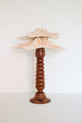 FORT MADE: Natural Curiosity, Stacked Starfish