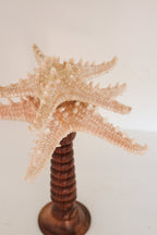 FORT MADE: Natural Curiosity, Stacked Starfish