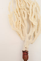 FORT MADE: Natural Curiosity, Finger Sea Sponge