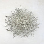 Tumbleweed