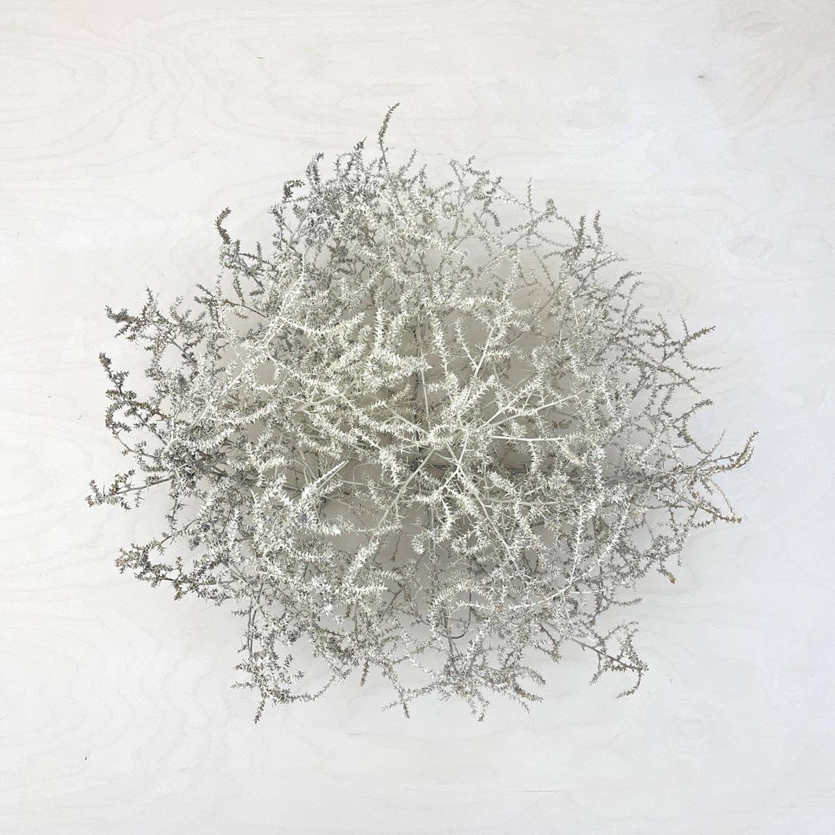Tumbleweed
