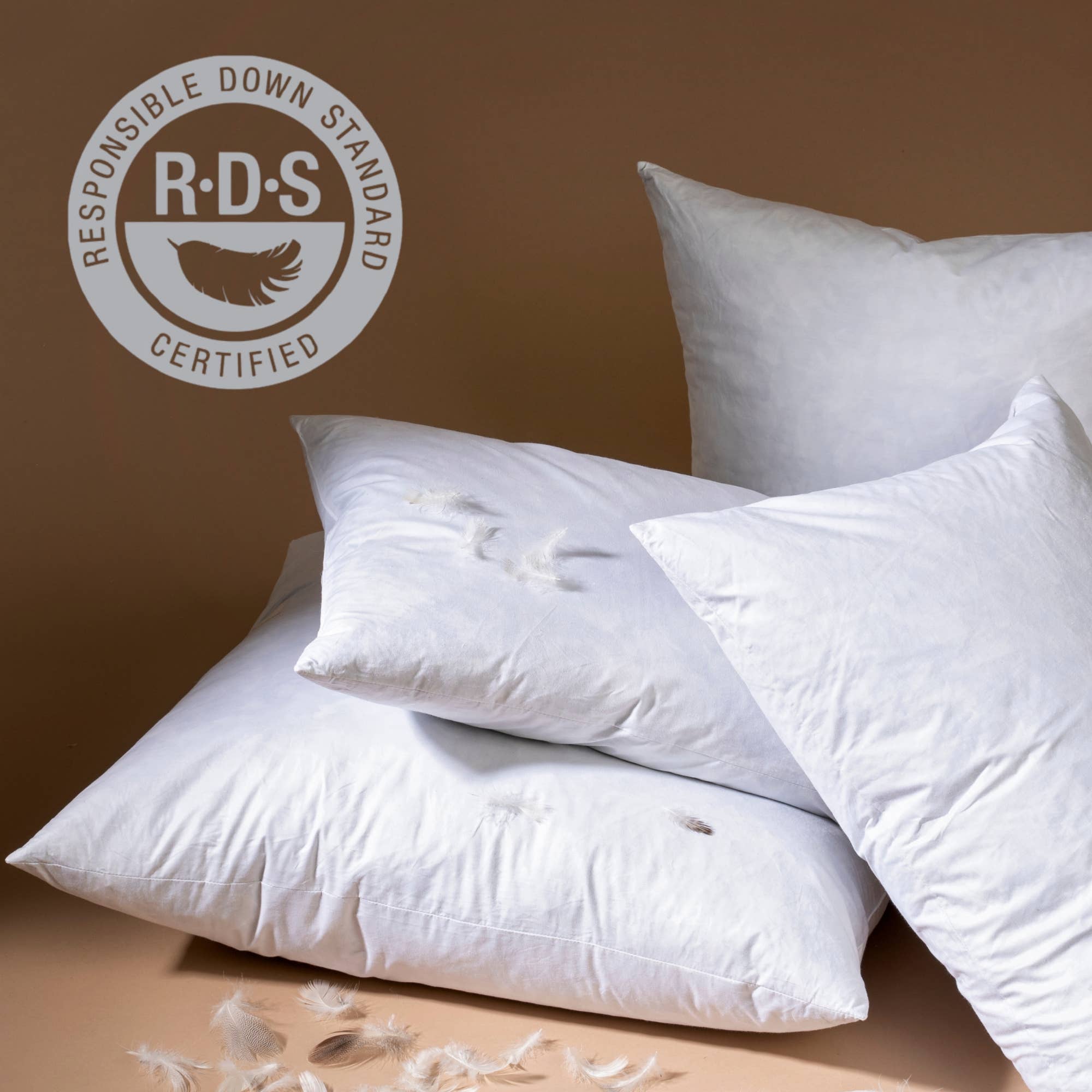 16x24 Benito Pillow