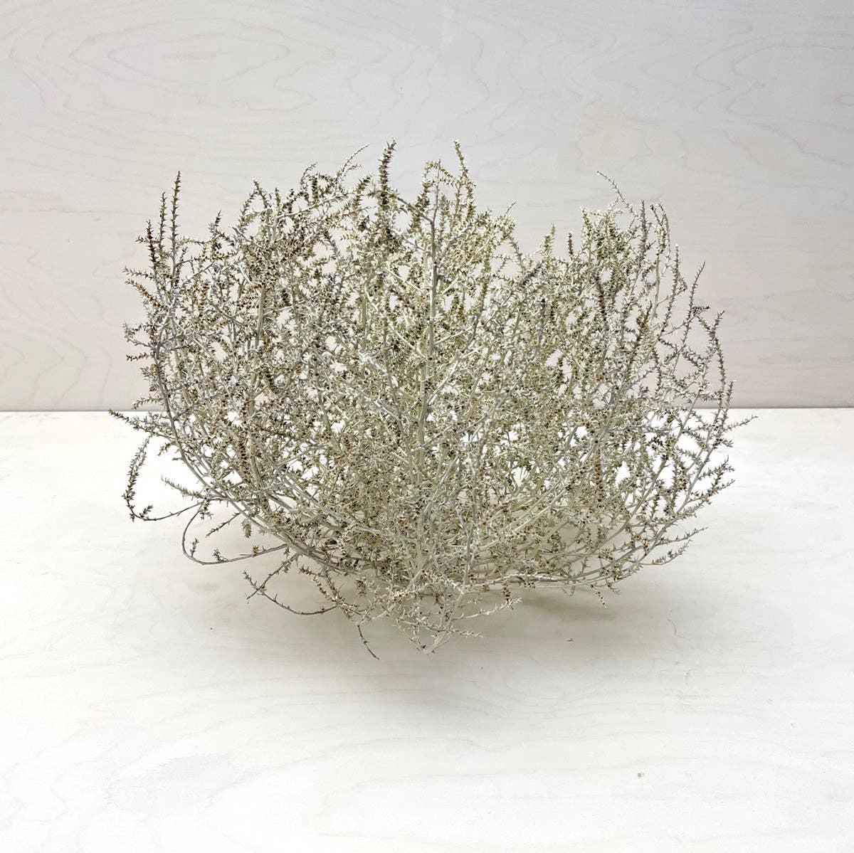 Tumbleweed